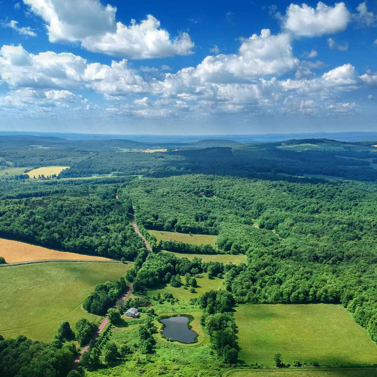 Investing in biodiversity through real assets