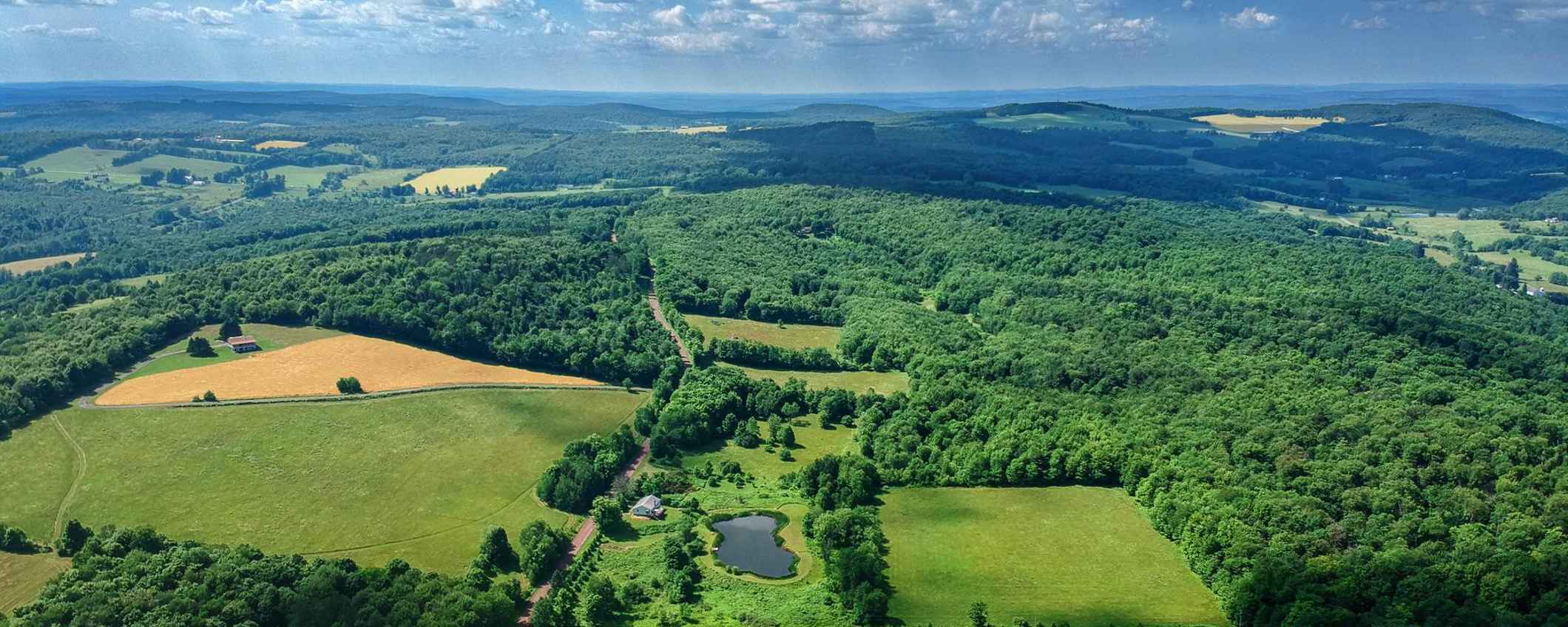 Luchtfoto van een uitgestrekt landschap met bossen, velden en heuvels.