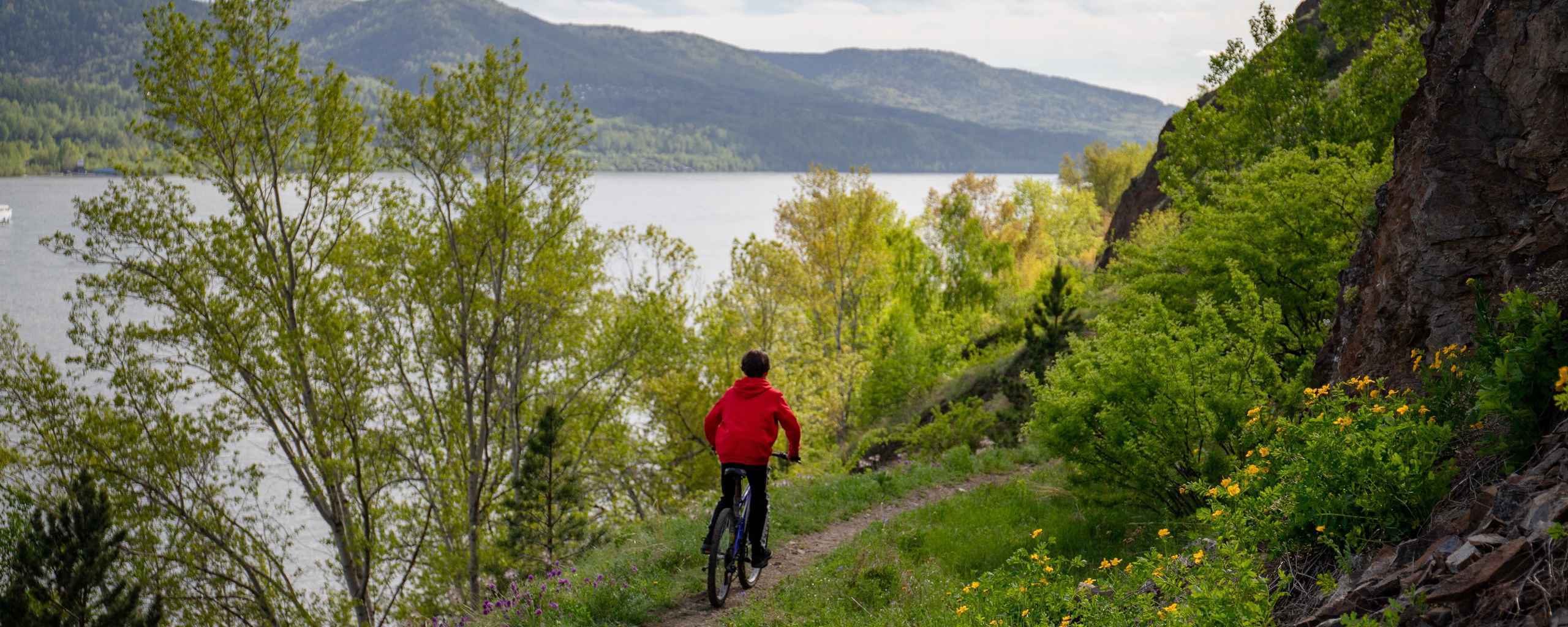 Een persoon fiets over een smal pad door een groen landschap met bomen en bloemen. Op de achtergrond ligt water.