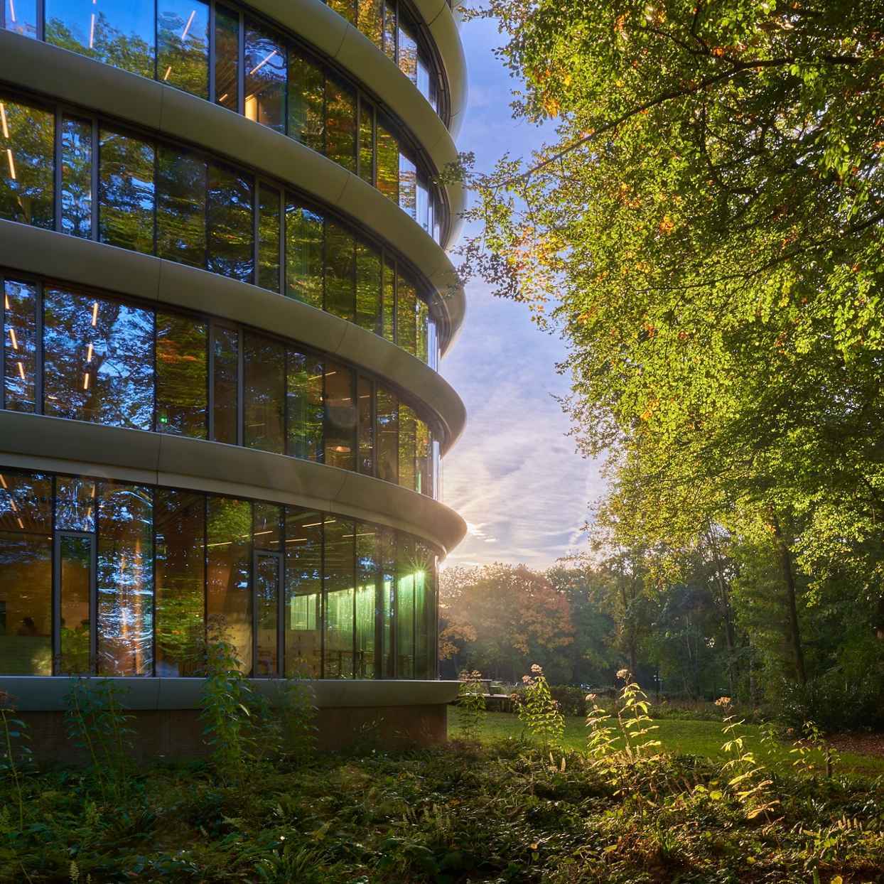 Mobilising capital for Nature-based Solutions through impact bonds