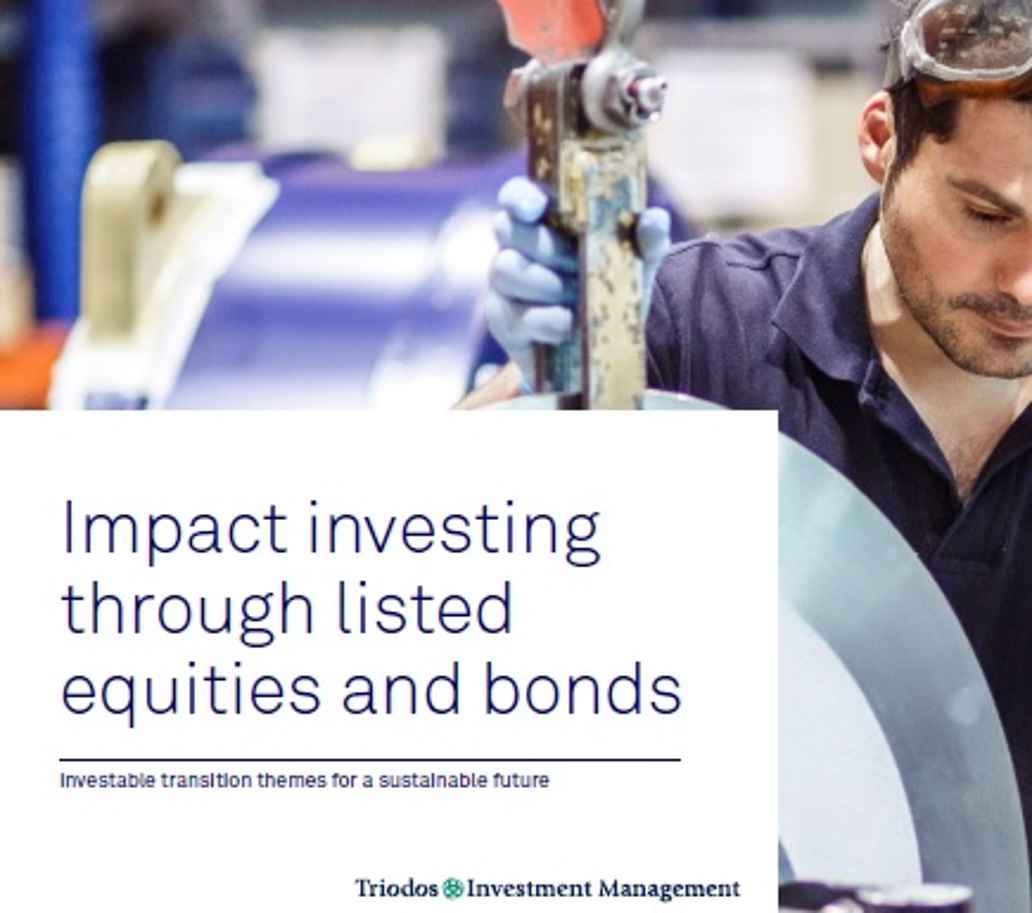 Triodos IM white paper