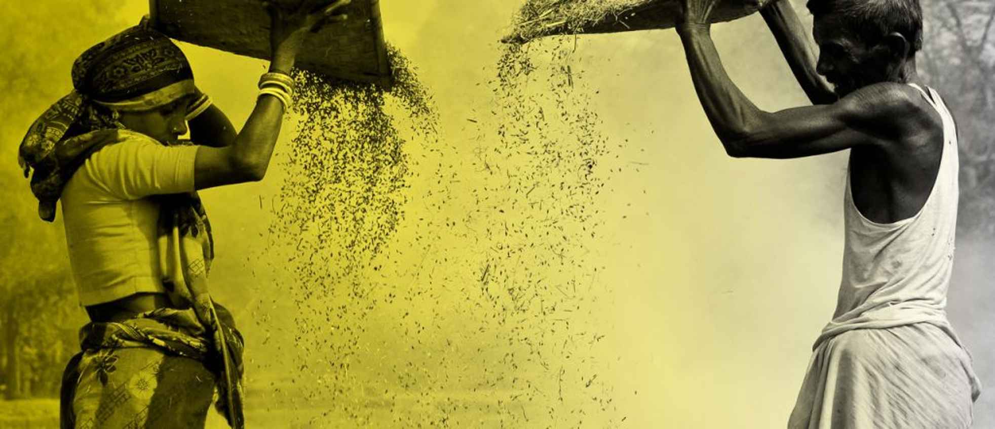 16-8074-Triodos-brandbox-Impact-1280x552px-1-1-1024x442