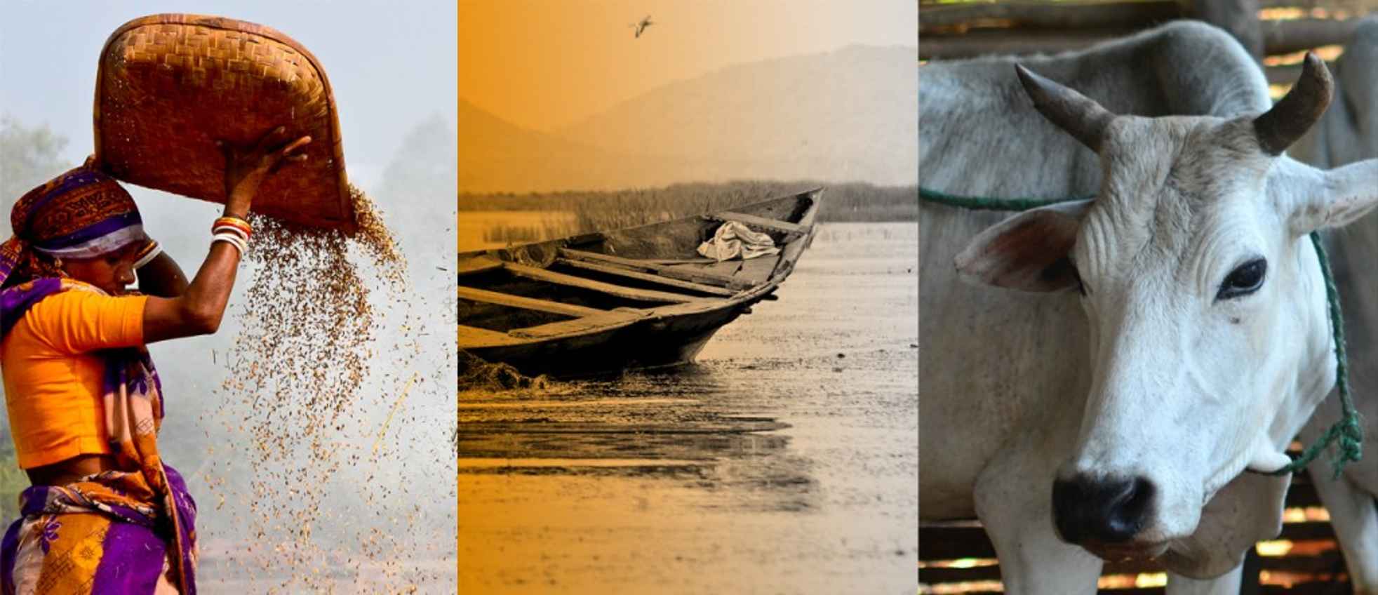 annapurna-microfinance-1024x442