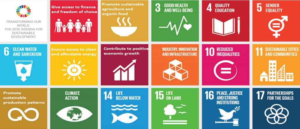 The UN Sustainable Development Goals